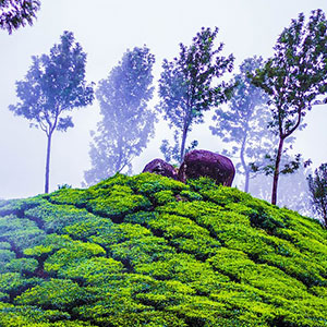 Hill-Station-img-2, Affordable Cost Taxi Booking in Madurai, 4 Seater Cab Booking in Madurai,  Madurai Best Call Taxi Services Near Me