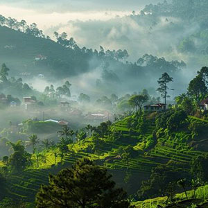 Kodaikanal-Nearest-img1, Best Taxi in Near Madurai, Best Car Rental in Madurai, Best Yatra Trip Package in Madurai